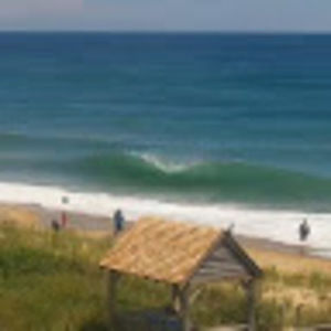 Meet your Posher, Poppa surf